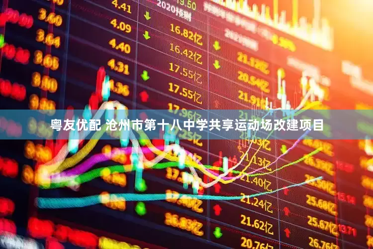 粤友优配 沧州市第十八中学共享运动场改建项目